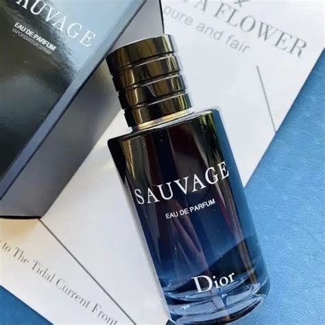 dior sauvage ähnliche parfums|what does dior sauvage smell like.